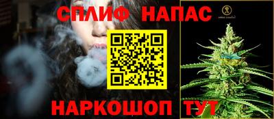 прущие грибы Заволжье
